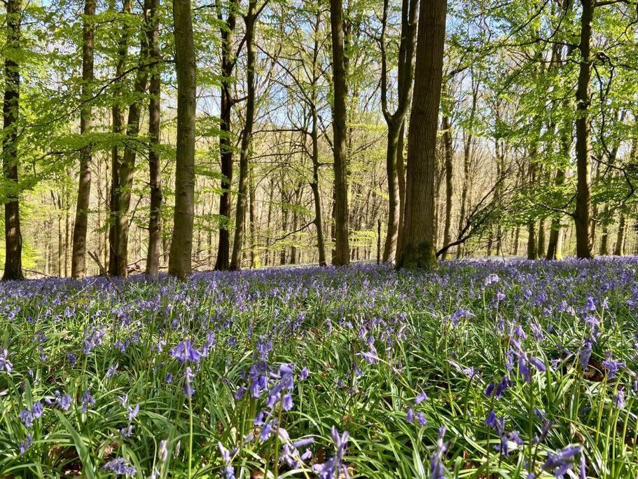 The Mill Stylish Rural Apartment With Beautiful Views Welsh Newton Common Kültér fotó