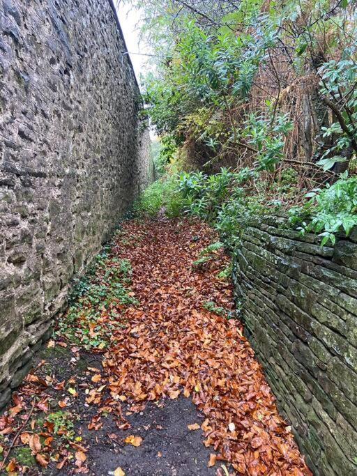The Mill Stylish Rural Apartment With Beautiful Views Welsh Newton Common Kültér fotó